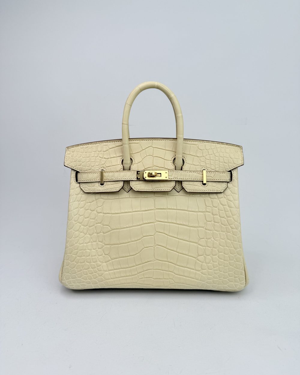 Hermès Birkin 안감 얼룩 복원