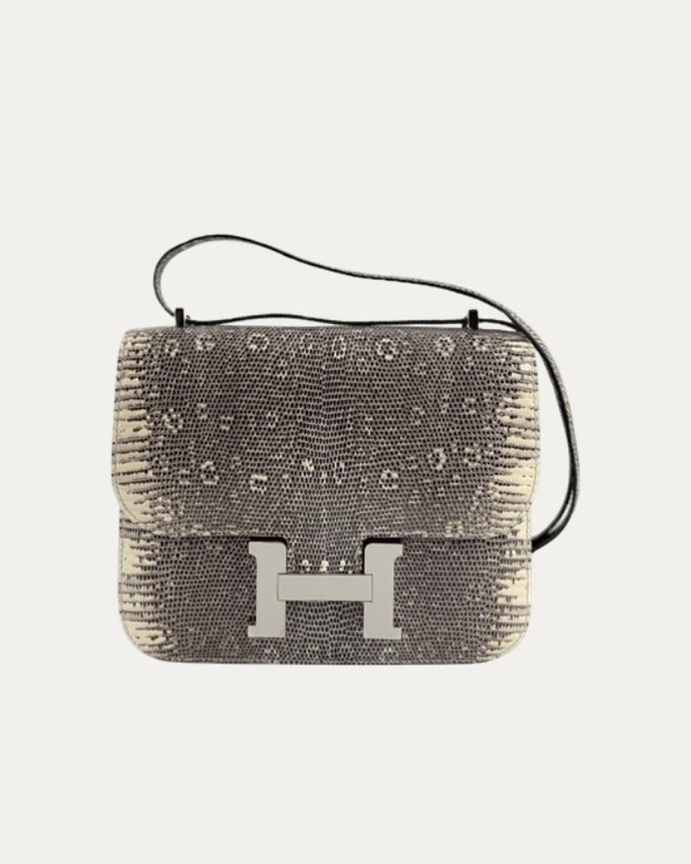 Hermès Constance 뒷면 변색 복원